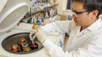 PhD student in nutrition and metabolic biology